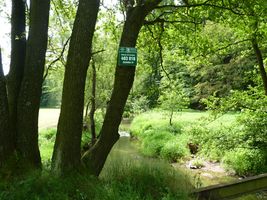 Sázavka 1P-býv. můstek pod obcí Dolní Dlužiny-9.6.12.JPG